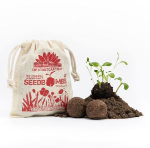 Samenbombe Blühendes Kornfeld