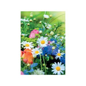 Grußkarte ohne Text - midi, inkl. Umschlag