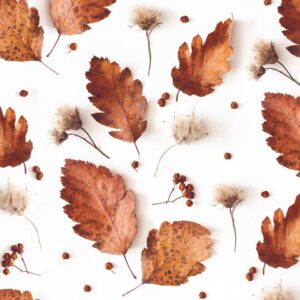 Motivserviette Soft Autumn, 33 x 33 cm, 3-lagig, 20 Stück