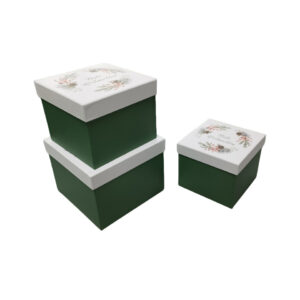 Weihnachts-Geschenkkarton Zweige, 3-teilig, weiß/rot