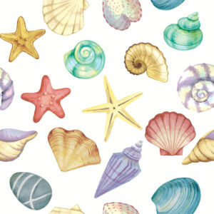 Motivserviette, Meeresufer mit Muscheln, 25 x 25 cm, 3-lagig, 20 Stück