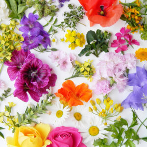 Motivserviette, Blumen gemischt, 33 x 33 cm, 3-lagig, 20 Stück