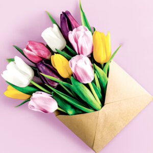 Motivserviette, Grüße aus dem Garten, 33 x 33 cm, 3-lagig, 20 Stück