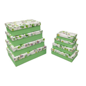 Geschenkkarton Eukalyptus, 8-teilig, grün