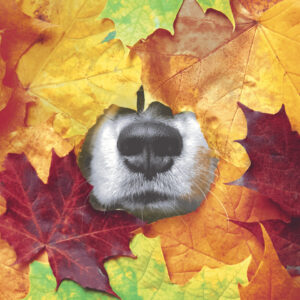 Motivserviette, Blätter mit Nase, 33 x 33 cm, 3-lagig, 20 Stück