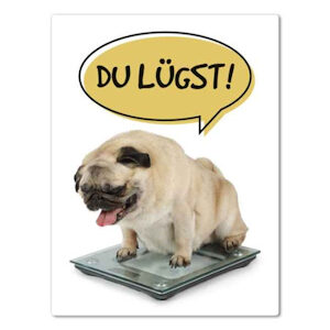 Magnet Du lügst Hund