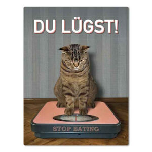 Magnet Du lügst Katze
