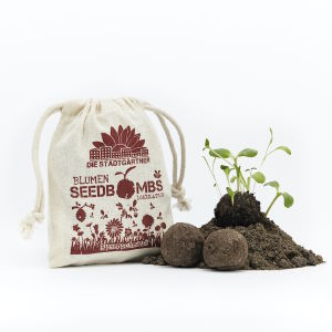 Samenbombe Bienenschmaus