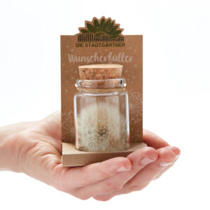 Wunscherfüller groß