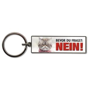 Schlüsselanhänger Bevor du fragst Nein!